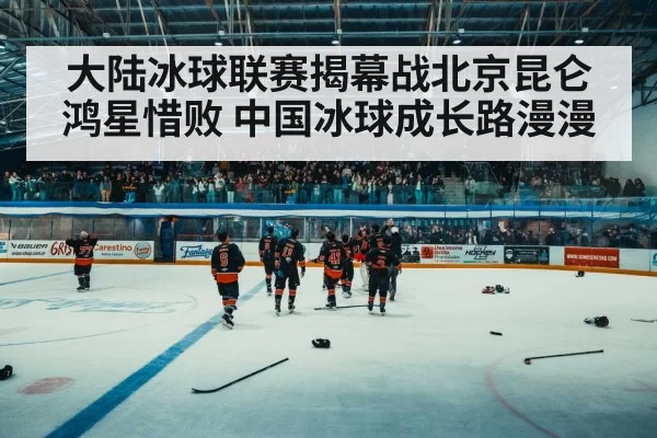 ice hockey arena crowd