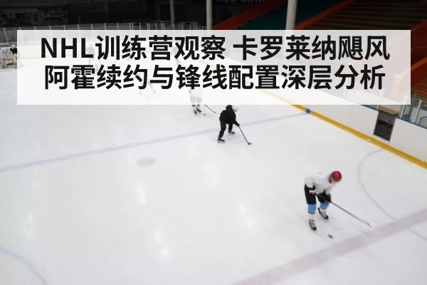 NHL训练营观察 卡罗莱纳飓风阿霍续约与锋线配置深层分析