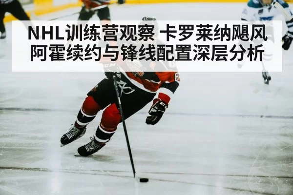 ice hockey player skating